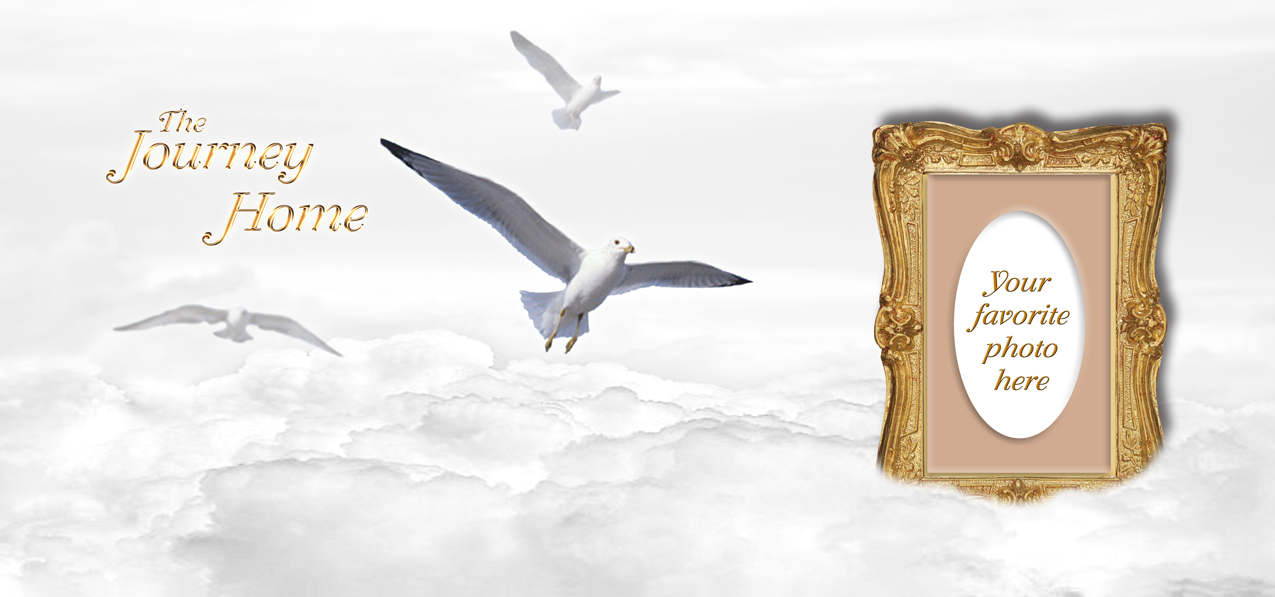 Journey Home Clouds Birds White-Gold